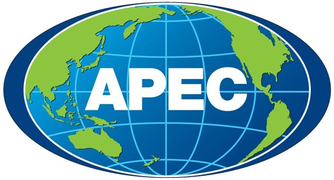 Présentation des activités de l’année APEC 2017  - ảnh 1